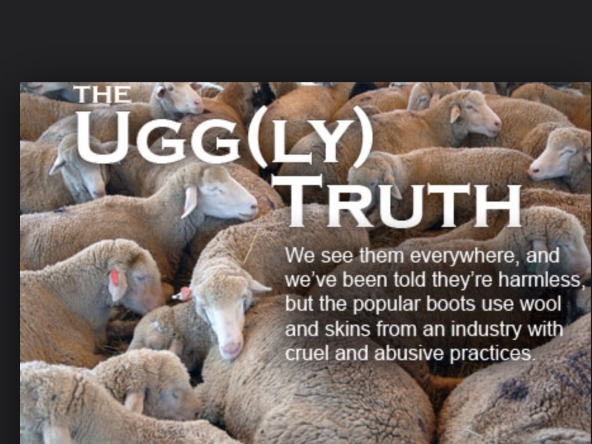 UGGS. Cruel. Fur. Sheep. Racoon. Dog 